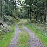 Familien-hotel Am Traenkbachtal Frauenwald