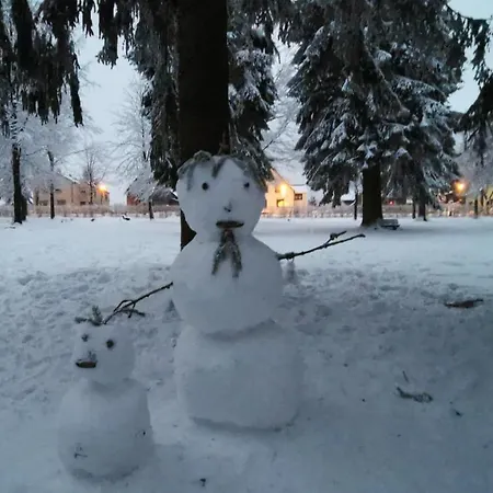 Familien-hotel Am Traenkbachtal 3* Frauenwald