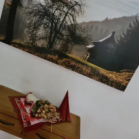 Familien-hotel Am Traenkbachtal 3*