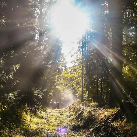 Familien-hotel Am Traenkbachtal