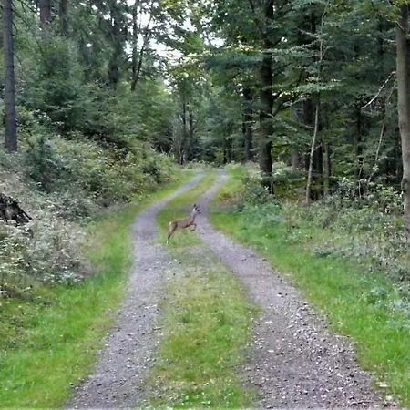 Familien-hotel Am Traenkbachtal Frauenwald