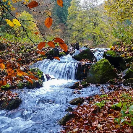 Familien-hotel Am Traenkbachtal Frauenwald