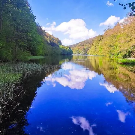 Hotel Familien-hotel Am Traenkbachtal 3*