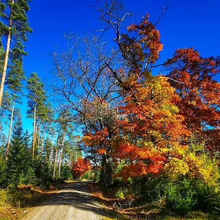 Hotel Familien-hotel Am Traenkbachtal
