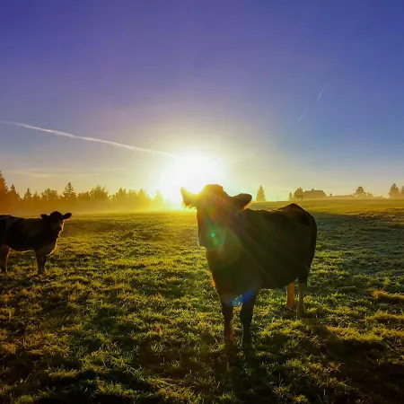 Familien-hotel Am Traenkbachtal Hotel