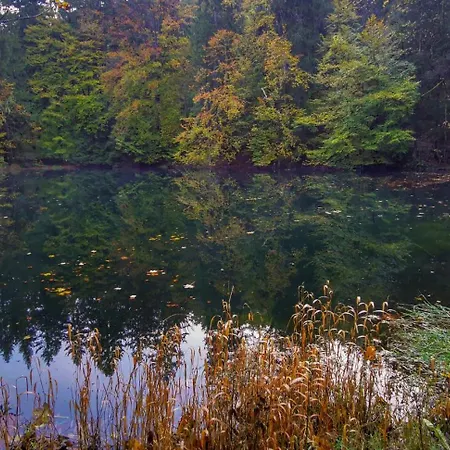 Hotel Familien-hotel Am Traenkbachtal Frauenwald