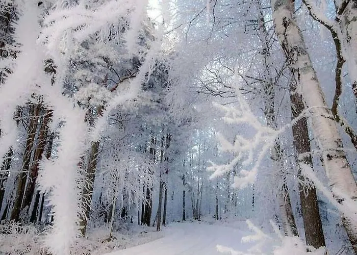 Familien-hotel Am Traenkbachtal