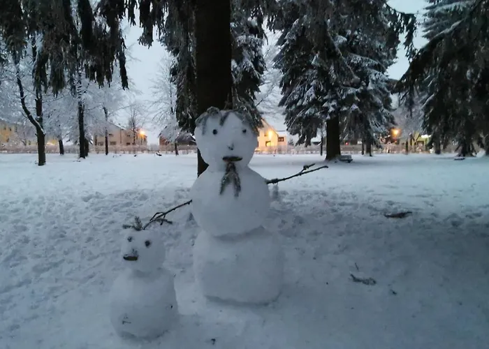 Familien-hotel Am Traenkbachtal 3* Frauenwald