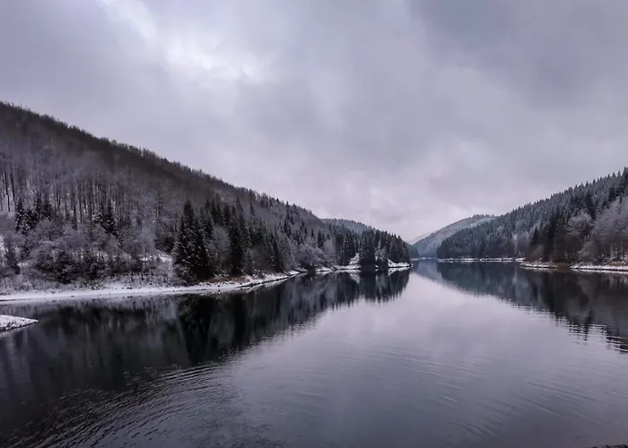 Otel Familien-hotel Am Traenkbachtal Frauenwald