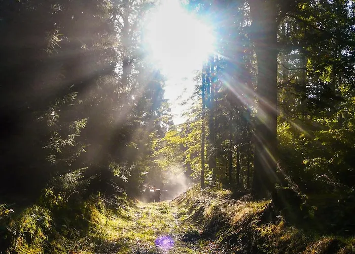 Familien-hotel Am Traenkbachtal