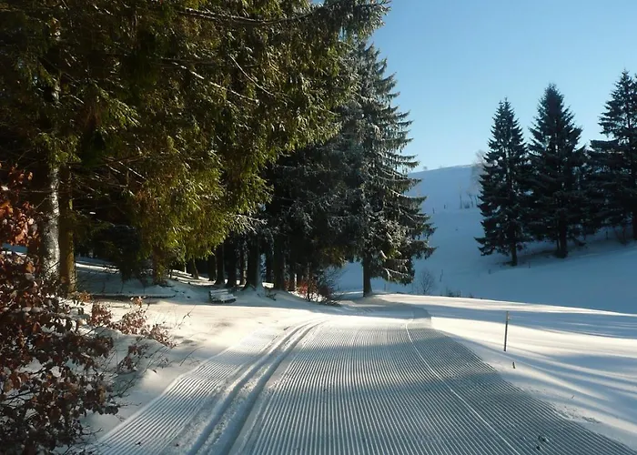 Familien-hotel Am Traenkbachtal