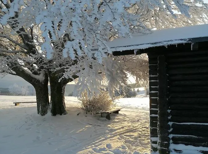 Отель Familien-hotel Am Traenkbachtal