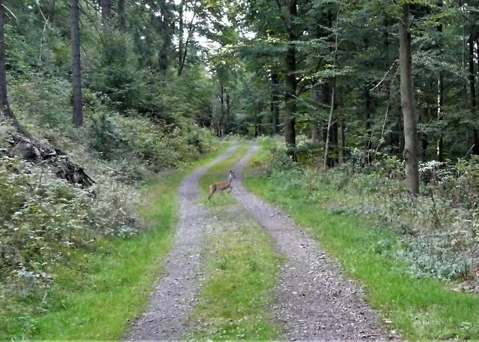 Familien-hotel Am Traenkbachtal フラウエンヴァルト