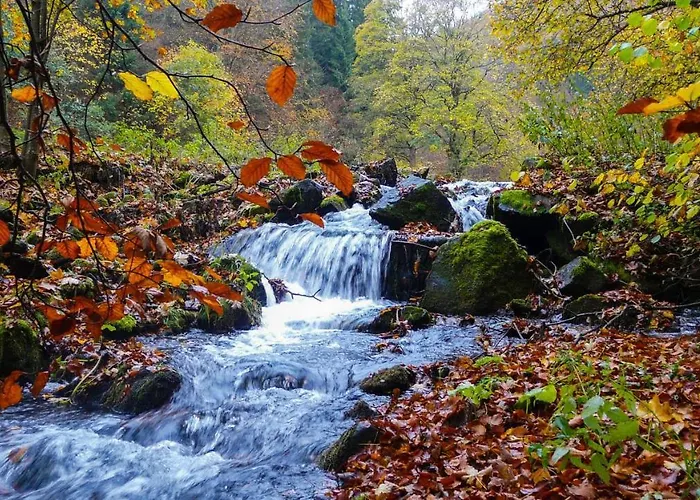 Familien-hotel Am Traenkbachtal フラウエンヴァルト