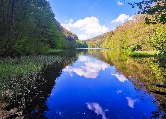 Отель Familien-hotel Am Traenkbachtal 3*