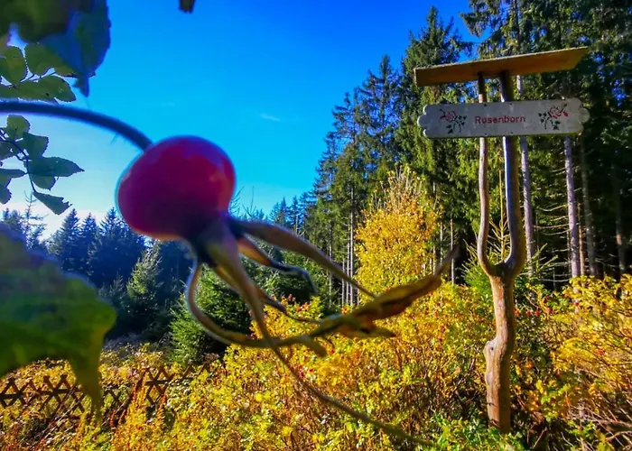 Familien-hotel Am Traenkbachtal Отель Фрауэнвальд