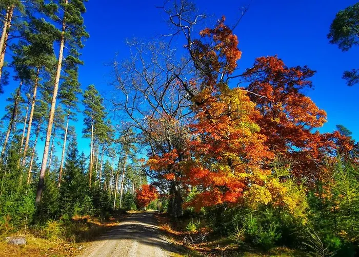 Отель Familien-hotel Am Traenkbachtal