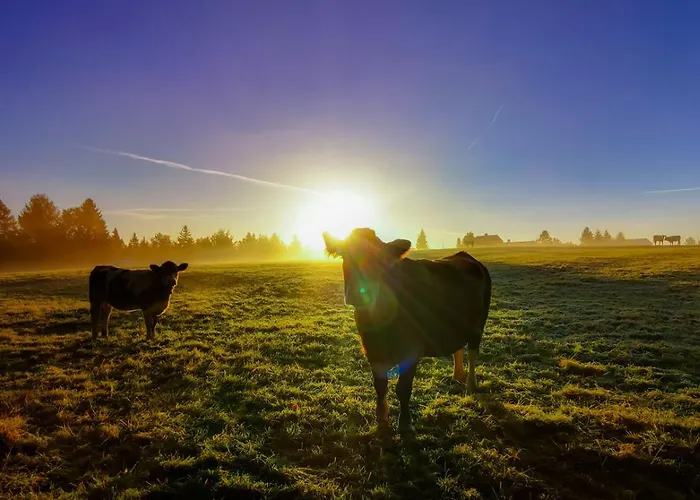 Familien-hotel Am Traenkbachtal Hotel
