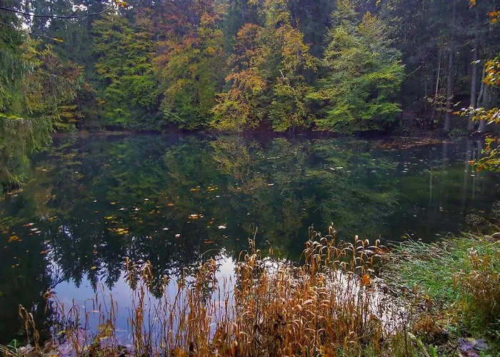 Otel Familien-hotel Am Traenkbachtal Frauenwald