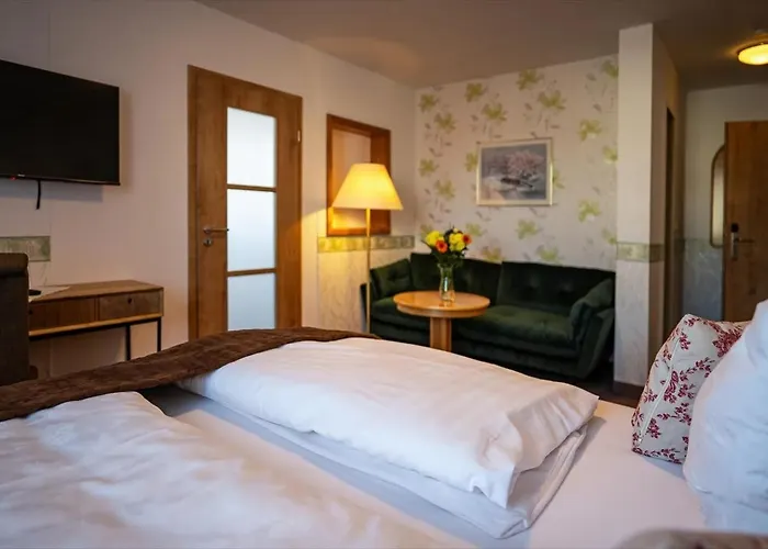 Familien-hotel Am Traenkbachtal