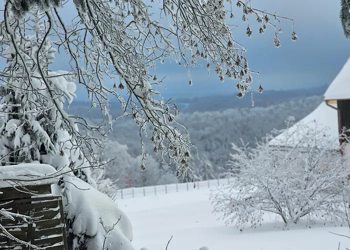 Otel Familien-hotel Am Traenkbachtal Frauenwald